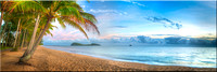 770 Palm Cove