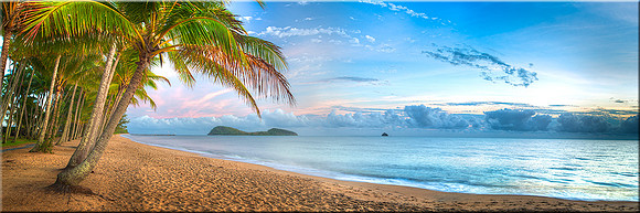 770 Palm Cove