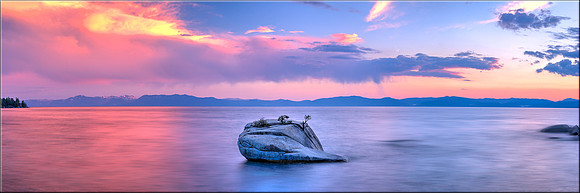 1337 Bonsai Rock