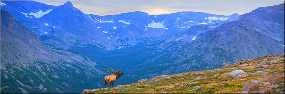 1363 Majestic Solitude