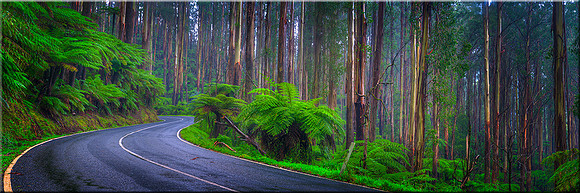872 The Black Spur