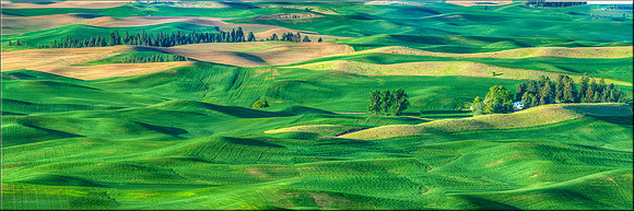 1675 Verdant Layers