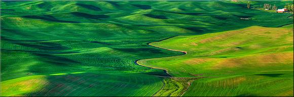 1682 Shades of the Palouse