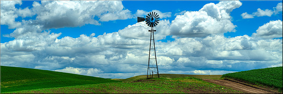 1685 Blowing with the Wind