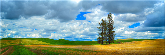 1687 Patriarch of the Prairie