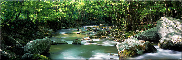 289 Wild River