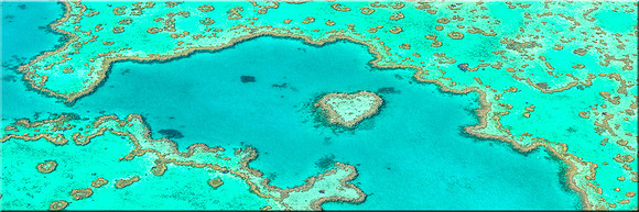 826 Heart Reef