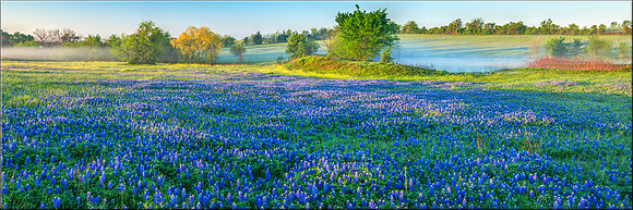 1425 Misty Morning Blue