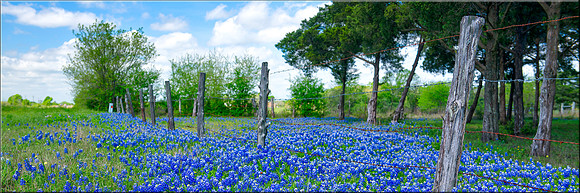1427 Hill Country