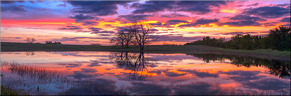 1433 Morning Reflections