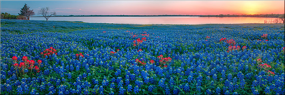 1436 Blue Heaven