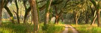 CC101 Road less Traveled