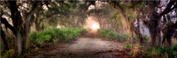 CC124 Canopy Road