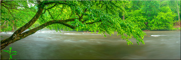 1446 Nantahala River