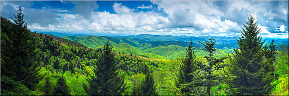 1454 Herrin Knob