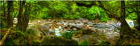 763 Mossmon Gorge II