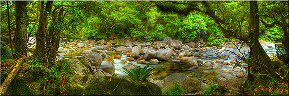 763 Mossmon Gorge II