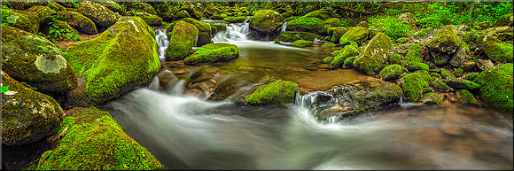 1457 Roaring Fork