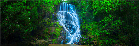 1461 Eastatoe Falls
