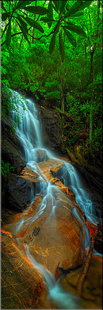 1458 Log Hollow Falls
