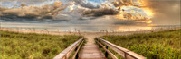 CC314 Boardwalk of Dreams