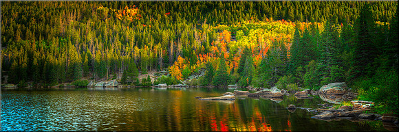 1496 Fall Reflections