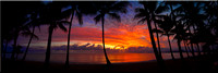 767 Palm Cove