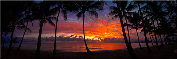 767 Palm Cove