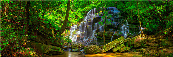 1569 Yellow Branch Falls