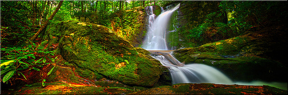 1570 Wolf Creek Falls