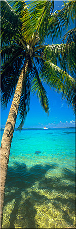 220 Latitudes