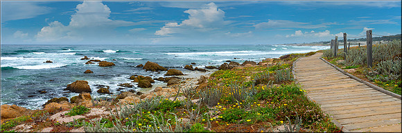 1195 Pebble Beach