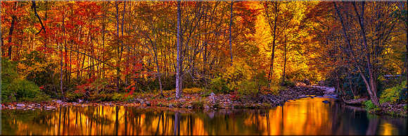 1592 Reflections of Fall