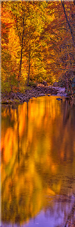 1593 River of Gold