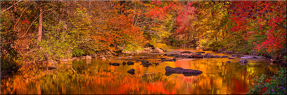 1594 Autumn's Majesty