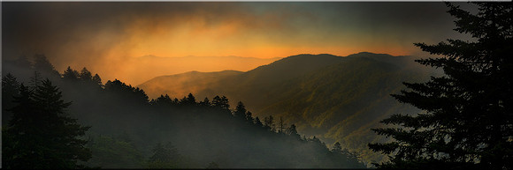 478 Valley of Light