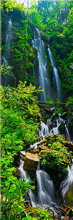 1598 Lee Falls
