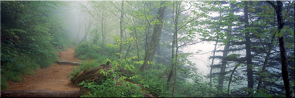 277 Sacred Ground