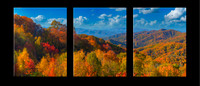 1065T Autumn's Palette