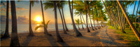 772 Palm Cove