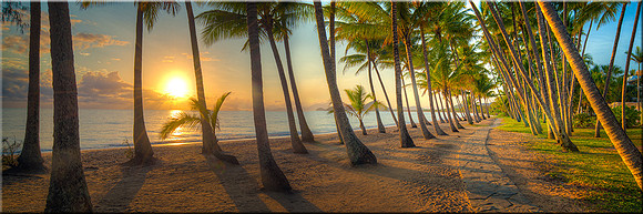 772 Palm Cove