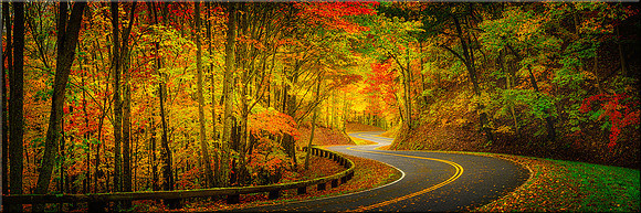 1703 Road to Nowhere