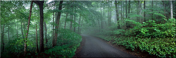 350 Misty Morning