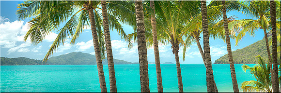 786 Hamilton Island