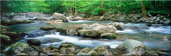 287 River Dance