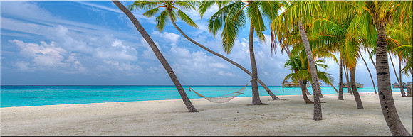 866 Colors of Paradise