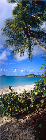 333 Trunk Bay