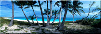 132 Island Days