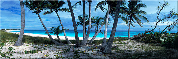 132 Island Days