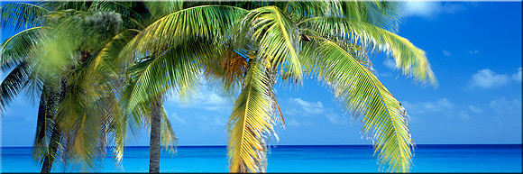 305 Seabreeze